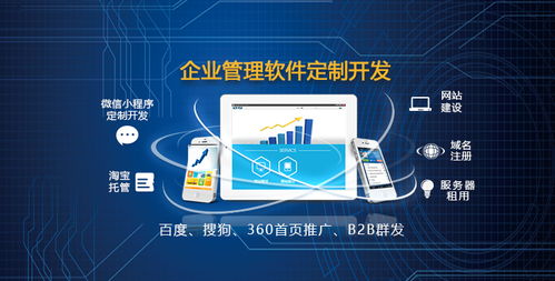 沈阳网站建设与软件开发 图APP开发公司如何助力企业数字化转型